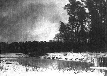 Rabenwald und Uferbereich